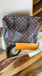 Louis Vuitton 2019 Damier Ebene Canvas Speedy 30